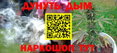 гидра Будённовск
