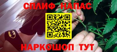 гидра Будённовск