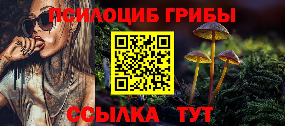 Солнечногорск  Псилоцибиновые грибы GOLDEN TEACHER  Вход с VPN 